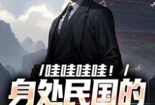 哇哇哇哇！身处民国的我变大佬苏墨小说在线章节免费阅读-经典文学