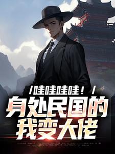 哇哇哇哇！身处民国的我变大佬苏墨小说在线章节免费阅读