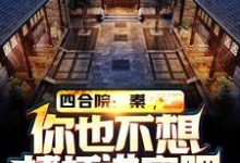 四合院:秦,你也不想棒梗进牢吧程治国,四合院:秦,你也不想棒梗进牢吧最新章节-经典文学