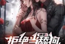 《神豪：拒绝当舔狗，我要做渣男》小说大结局免费试读 陈泽小说-经典文学