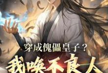 求穿成傀儡皇子？我唤不良人夺证权！小说的全文免费阅读链接-经典文学