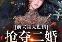 前夫哥太痴情,抢夺二婚新郎席位小说的最新章节在哪里更新?免费追踪阅读-经典文学