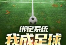 在线免费阅读绑定系统:我成足球小飞人完整小说-经典文学