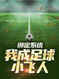 在线免费阅读绑定系统：我成足球小飞人完整小说