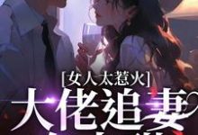 女人太惹火，大佬追妻有点甜小说完结版章节免费阅读-经典文学