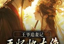 王爷追妻记：王妃她太绝，藏不住啦小说最新更新在哪里？免费在线看-经典文学