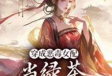 穿成恶毒女配,当绿茶这么有趣?小说,穿成恶毒女配,当绿茶这么有趣?乔挽颜-经典文学
