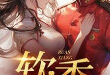 哪里能找到不是大哥,你兜这大一圈就为娶我小说的全部章节?-经典文学