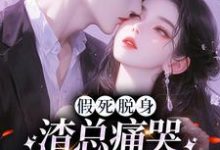假死脱身，渣总痛哭流涕求我归家（苏黎傅念琛）在线免费阅读-经典文学