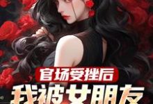 官场受挫后,我被女朋友甩了林青云罗嫣然,官场受挫后,我被女朋友甩了最新章节-经典文学