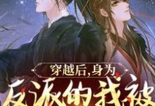 《穿越后，身为反派的我被王爷独宠了》小说章节在线试读，《穿越后，身为反派的我被王爷独宠了》最新章节目录-经典文学