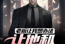 老板让我想办法,让他和老婆离婚小说的免费电子版在哪里可以下载或阅读?-经典文学