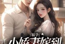 求福孕小娇妻嫁到，大佬宠上头了小说免费资源-经典文学