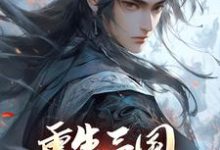 《重生三国,开局黄巾起义》小说张新章节章节免费在线阅读-经典文学