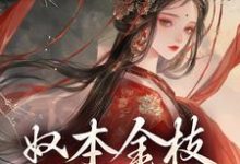 免费看奴本金枝,誓不为妾小说的网站有哪些?-经典文学