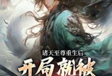 小说《诸天至尊重生后，开局就被频频挑衅》章节阅读-经典文学