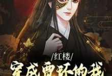 贾环小说红楼：穿成贾环的我成了贾府顶梁柱章节免费阅读-经典文学