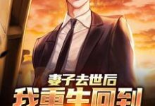 完结版《妻子去世后，我重生回到高考那年》免费阅读-经典文学
