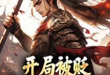 赵惊鸿嬴政小说叫什么（开局被贬，我要掠夺江山免费阅读）-经典文学