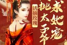 哪里能找到诱摘玫瑰，疯批太子爷求她宠小说的全部章节？-经典文学