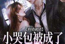 《将错就错：小哭包被成了大佬心尖宠》小说章节列表免费试读，慕汀洲姜桃小说在线阅读-经典文学