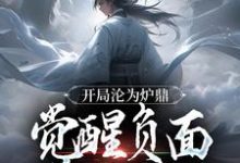 开局沦为炉鼎，觉醒负面逆转系统叶不凡小说完结版章节在线阅读-经典文学