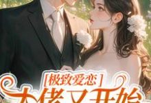 极致爱恋,大佬又开始攻心了小说的免费阅读版本在哪里可以找到?-经典文学