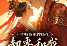 王爷嫌我水性扬花，却要和我假成婚虞苏小说在线章节目录阅读最新章节-经典文学