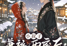 小叔子兼祧两房后,嫂嫂她逃了(林眠厉明舟)在线免费阅读-经典文学