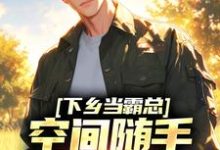 下乡当霸总,空间随手一套就有货小说的无弹窗阅读体验,寻找免费阅读网站-经典文学