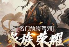 完结版《名门纨绔驾到，家族荣耀我来续》章节阅读-经典文学