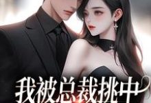 楚念赵聿京小说叫什么（我被总裁挑中，当了他的化劫人免费阅读）-经典文学