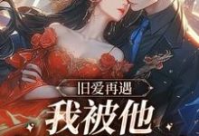 完结版《旧爱再遇,我被他钉在表白墙》章节阅读-经典文学