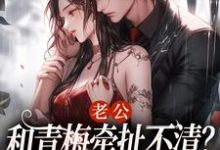 小说《老公和青梅牵扯不清？我放你自由！》在线章节阅读-经典文学