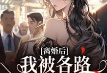 离婚后,我被各路大佬缠上了这本小说怎么样?免费在线阅读试试-经典文学