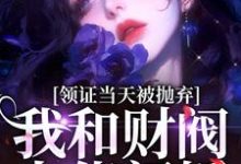 在线免费阅读领证当天被抛弃,我和财阀大佬闪婚完整小说-经典文学