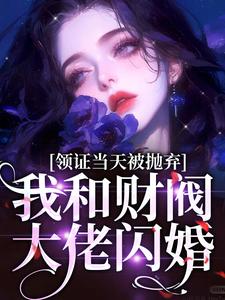 在线免费阅读领证当天被抛弃，我和财阀大佬闪婚完整小说
