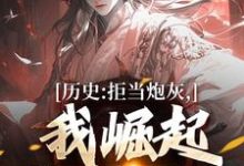 历史:拒当炮灰,我崛起收复河山小说,历史:拒当炮灰,我崛起收复河山在线阅读-经典文学