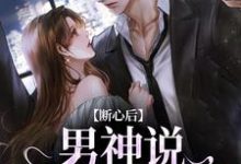 断心后,男神说他又上头了这本小说怎么样?免费在线阅读试试-经典文学