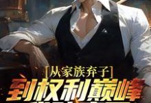 从家族弃子到权利巅峰，我赌赢了李南征隋君瑶小说大结局免费试读-经典文学