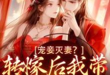 小说《宠妾灭妻?转嫁后我带皇子夺王位》在线章节阅读-经典文学
