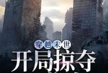完结版《穿越末世，开局掠夺S物资》章节阅读-经典文学
