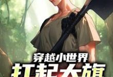 哪里可以免费找到穿越小世界，扛起大旗就是干？-经典文学