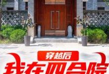 穿越后，我在四合院称霸天下免费阅读，穿越后，我在四合院称霸天下章节在线阅读-经典文学