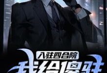 小说《入驻四合院，我给傻驻送关怀！》章节免费阅读-经典文学