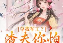 已完结小说《夺我军工?渣夫你怕是没命享》在线章节阅读-经典文学