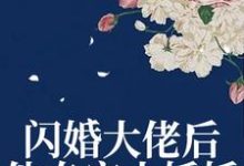 哪里能找到闪婚大佬后,他专宠小娇娇小说的最新更新和免费章节?-经典文学