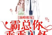 小说《顶峰相见，霸总你乖乖入怀》章节免费阅读-经典文学