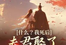 《什么？我死后，夫君娶了小白莲》小说盛蕊宋晏平章节章节免费在线阅读-经典文学