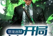 怒龙出狱：开局奉旨成婚免费阅读，怒龙出狱：开局奉旨成婚章节在线阅读-经典文学